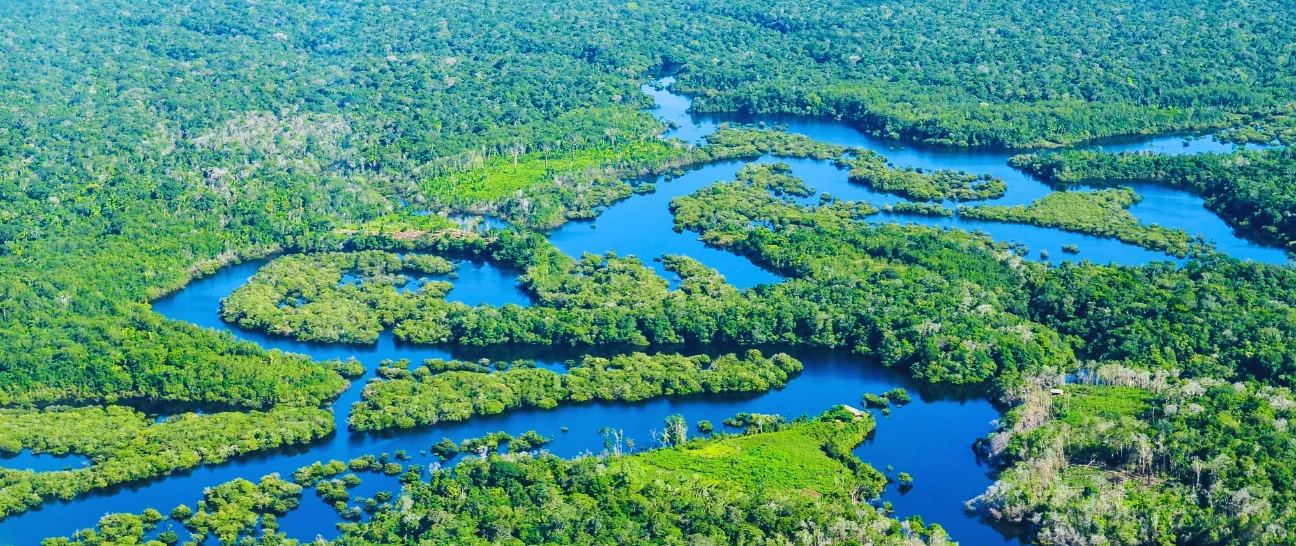 Vista aérea de un río meándrico atravesando selva húmeda tropical.