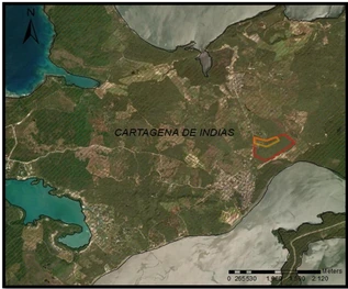 Imagen satelital del área evaluada en el entorno de Cartagena de Indias.