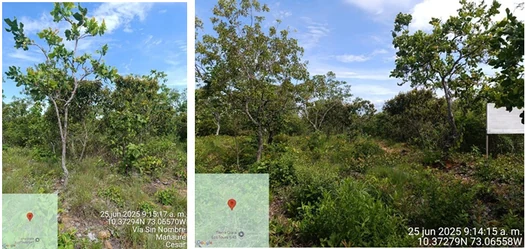 Registros fotográficos geoetiquetados de la visita de campo al área del proyecto.